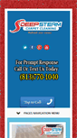 Mobile Screenshot of mycarpetcleaningtampa.com