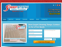 Tablet Screenshot of mycarpetcleaningtampa.com